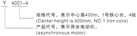 西安泰富西玛Y系列(H355-1000)高压JR115-6三相异步电机型号说明