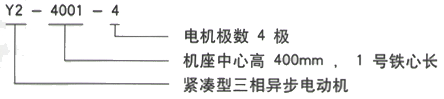 YR系列(H355-1000)高压JR115-6三相异步电机西安西玛电机型号说明